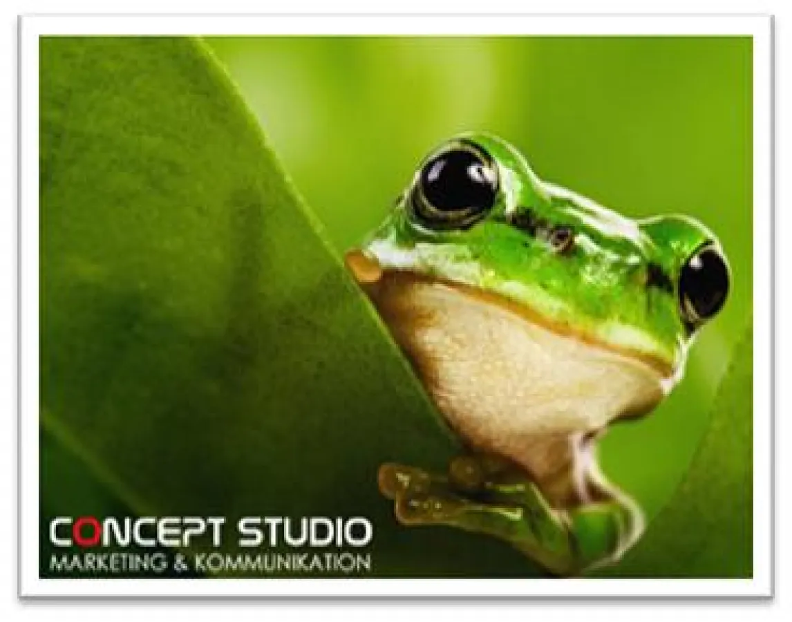 CONCEPT STUDIO goes green!