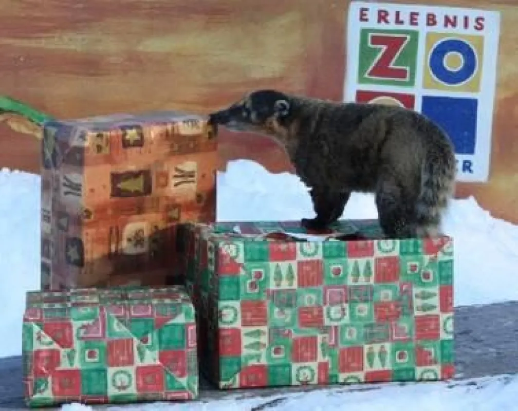 Tierische Bescherung an den Weihnachtstagen in der Showarena