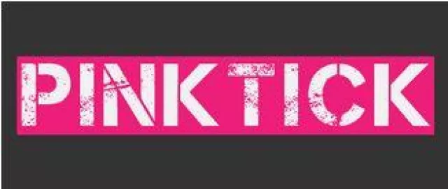 Bild: Speziell angefertigtes Hundezubehör mit exklusiver Gestaltung von Pinktick Design