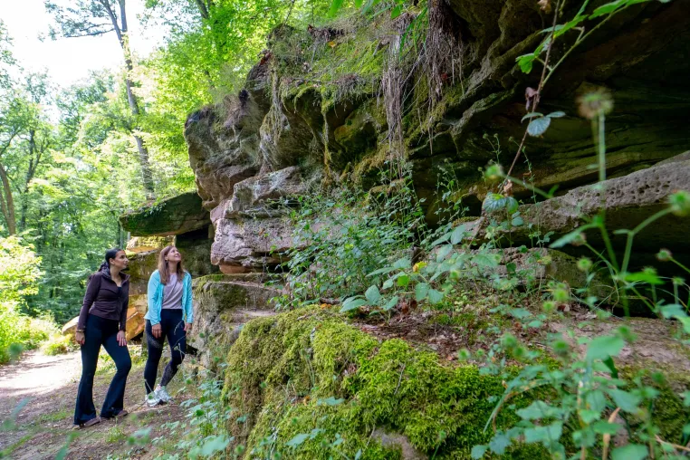 Bild: Wandern in Bad Kissingen: Wo jeder weg zum Erlebnis wird