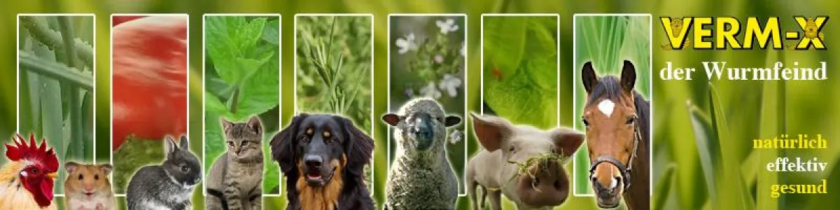 Mit Hilfe von Kräutern gegen Darmparasiten vorgehen