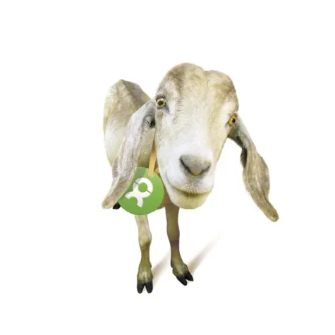 Bild: Anders schenken: Spende statt Weihnachtspräsente