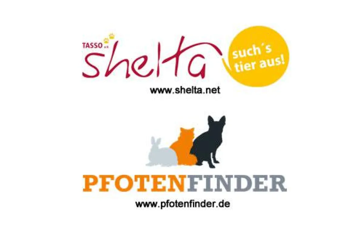 Internet-Tierheim shelta kooperiert mit Pfotenfinder.de