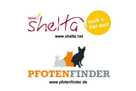 Internet-Tierheim shelta kooperiert mit Pfotenfinder.de Bild: Internet-Tierheim shelta kooperiert mit Pfotenfinder.de