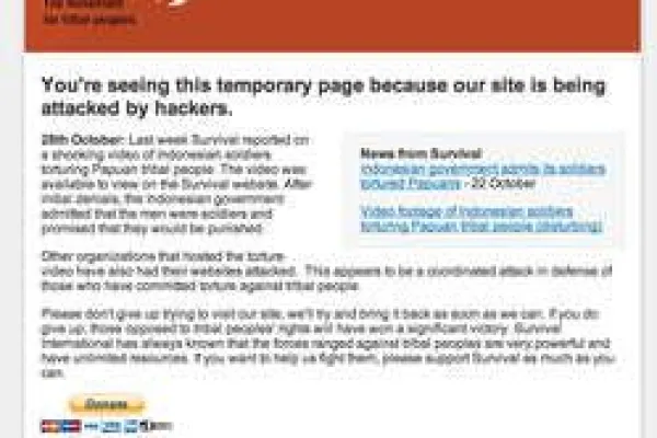 Cyber-Angriff setzt Menschenrechtsorganisation außer Gefecht Bild: Cyber-Angriff setzt Menschenrechtsorganisation außer Gefecht