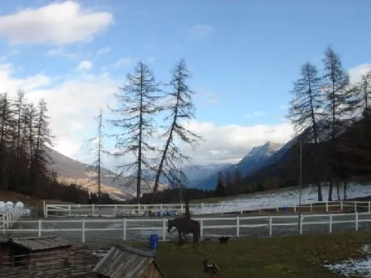 Bild: Ein Schweizer Reiterhof hört zu – für die Einheit zwischen Mensch und Tier