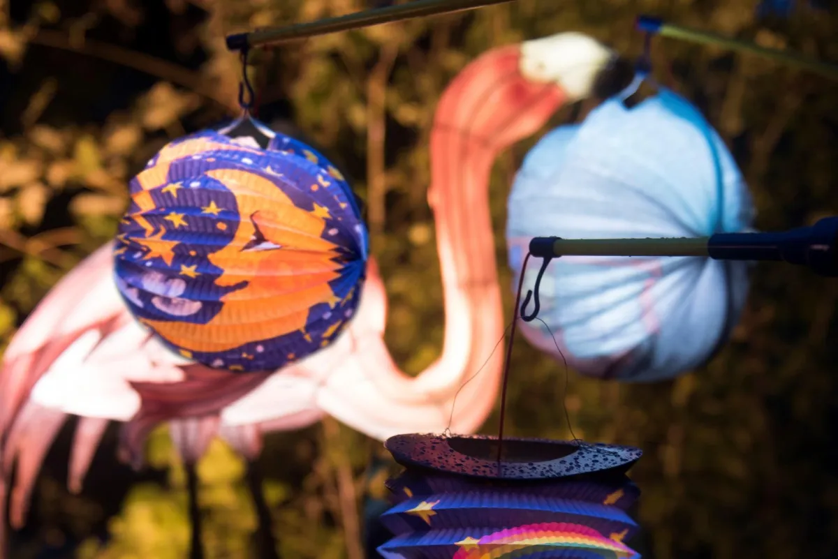 Laternenwoche und Zoo-Lights bis zum 10.11. im Zoo Osnabrück