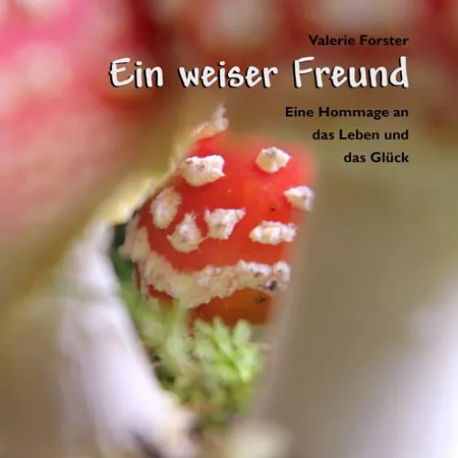 Das Glück liegt in den kleinen Dingen - Buchneuerscheinung "Ein weiser Freund" von Valerie Forster Bild: Das Glück liegt in den kleinen Dingen - Buchneuerscheinung "Ein weiser Freund" von Valerie Forster