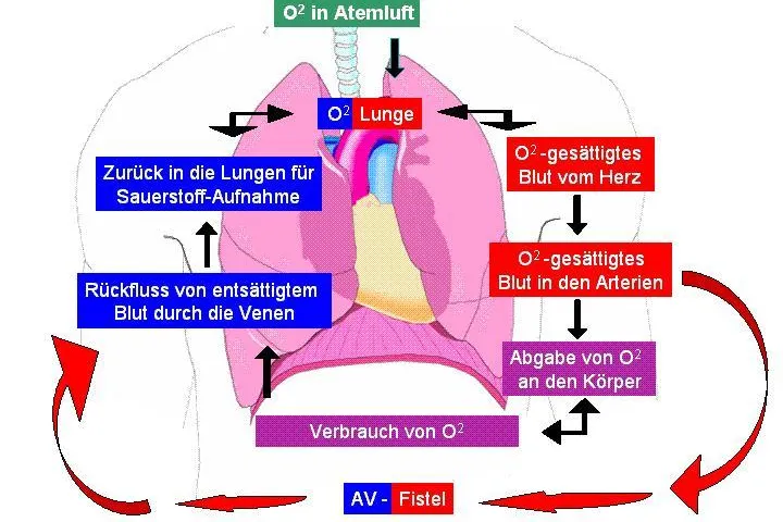 Bild: Neue Behandlungsmethode für COPD wirkt - Das Interview: Ein Patient und sein Arzt berichten