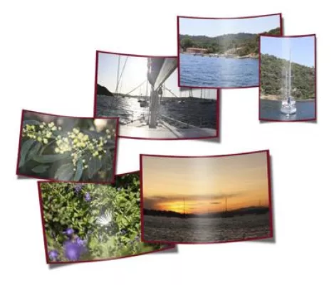 Bild: TONC Fotowettbewerb, Thema Natur und Umwelt - „Dein Foto für die Tonne“
