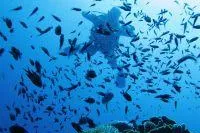 Thailandurlaub - Überholt das Land des Lächelns bald Mallorca? Bild: Thailandurlaub - Überholt das Land des Lächelns bald Mallorca?