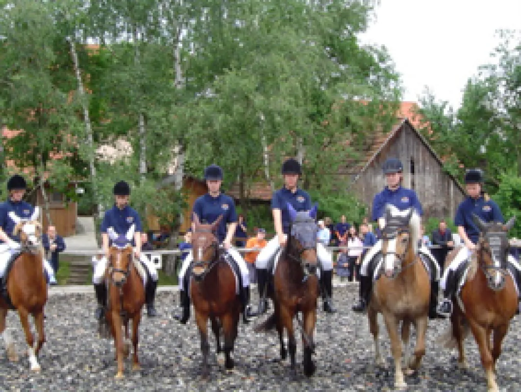 Selbst die jüngsten Vereinsmitglieder haben hoch zu Ross eine Quadrille eingeübt.