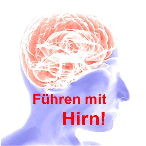 Bild: Die Kenntnis des Gehirns erleichtert seine Nutzung