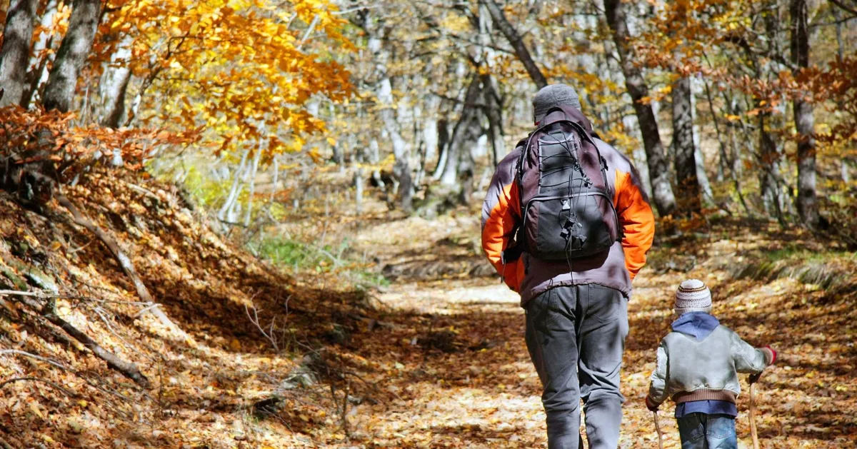 Im Herbst geht nichts über einen Waldspaziergang. ©kurz-mal-weg.de