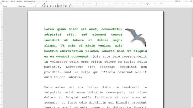 Bild: Ablenkungsfreies Schreiben