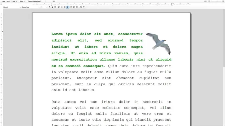 Bild: Ablenkungsfreies Schreiben