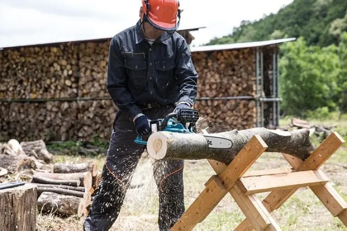 Bild: Gartenarbeit – Der richtige Einsatz einer Kettensäge