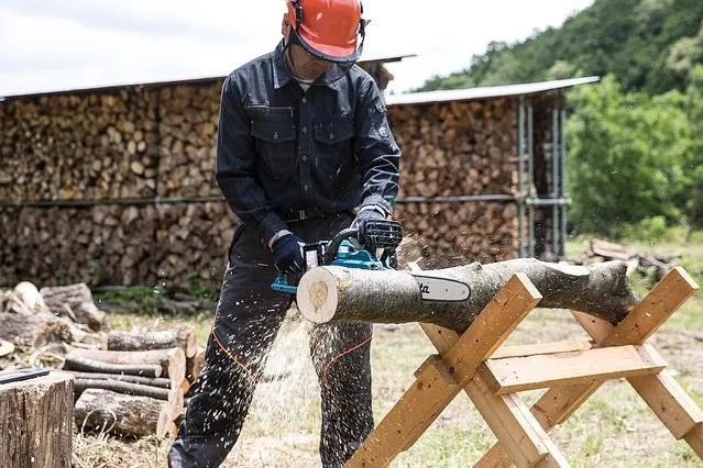 Bild: Gartenarbeit – Der richtige Einsatz einer Kettensäge
