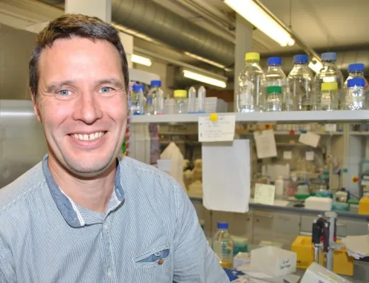 Tagung: Biowissenschaftler tauschen neue Erkenntnisse über molekulare Gen-Schalter aus Bild: Tagung: Biowissenschaftler tauschen neue Erkenntnisse über molekulare Gen-Schalter aus