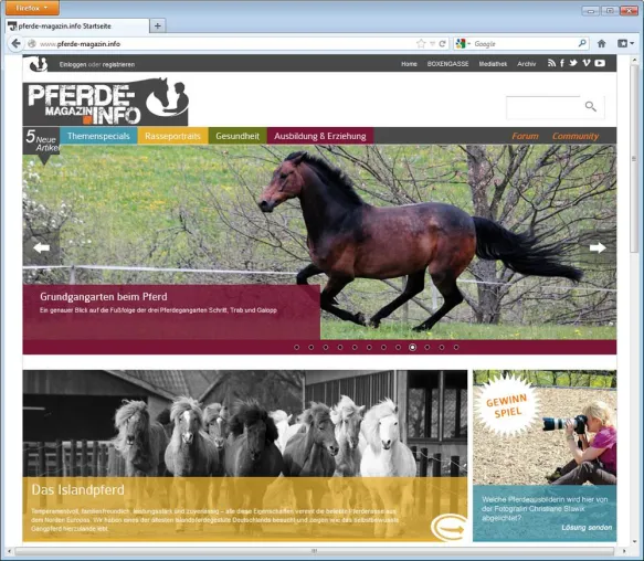 Webdesign aktuell: Neues Onlinemagazin für Pferdeliebhaber Bild: Webdesign aktuell: Neues Onlinemagazin für Pferdeliebhaber