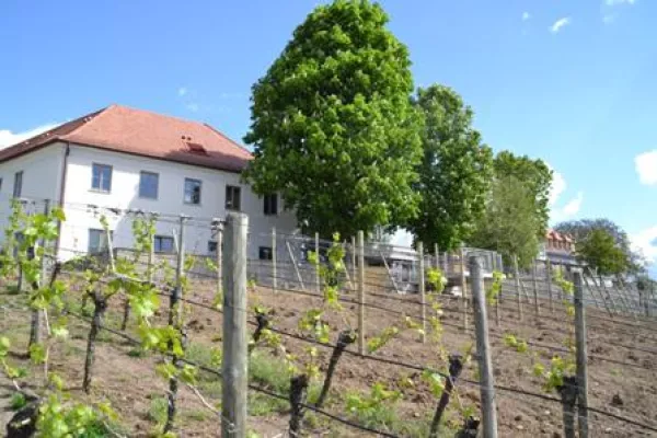 Bild: Vogelsburg 3.0 - Neues Servicekonzept auf der Vogelsburg