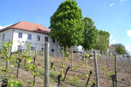 Bild: Vogelsburg 3.0 - Neues Servicekonzept auf der Vogelsburg