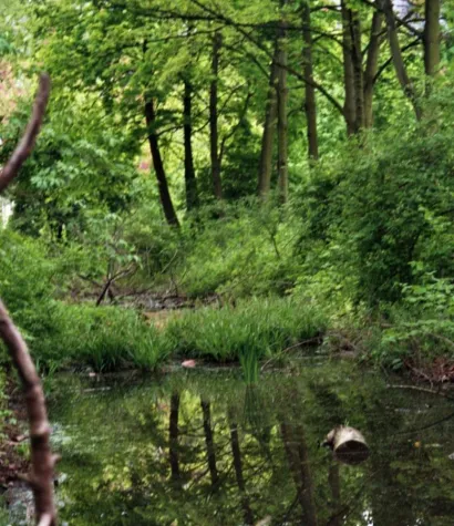 Bild: Stadtsafari Wilder Wedding am Sonntag, 06.07.08