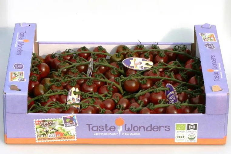 Schokolade mal anders – Gesünder Naschen mit der Bio-Tomate „Choco Tom” Bild: Schokolade mal anders – Gesünder Naschen mit der Bio-Tomate „Choco Tom”