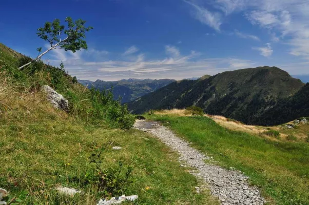 Bild: Die Wildnis ruft am Lago Maggiore