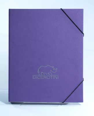 Bild: Handgemachte Taschen/Cases aus Österreich für das iPad
