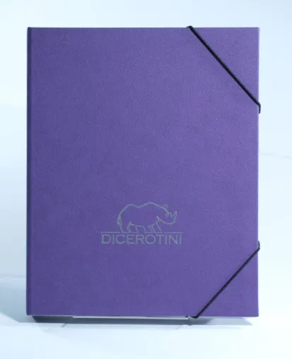 Bild: Handgemachte Taschen/Cases aus Österreich für das iPad