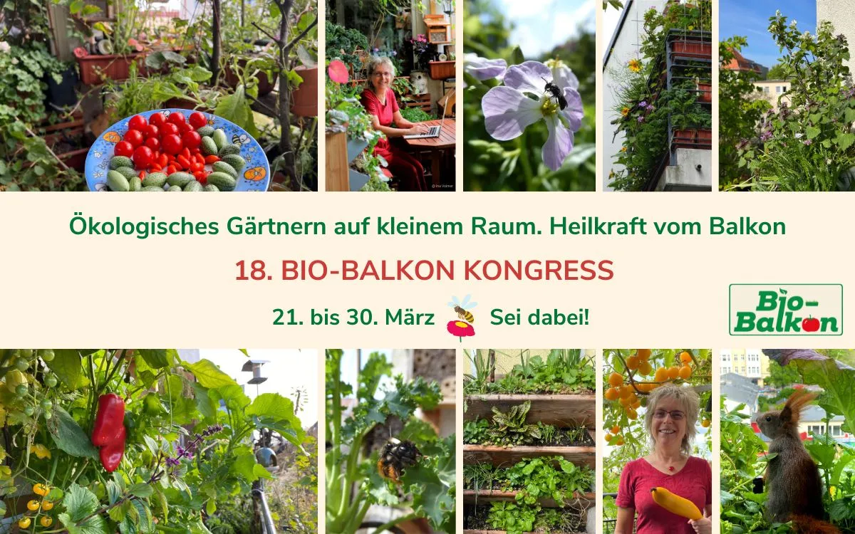 18. Bio-Balkon-Onlinekongress vom 21. — 30. März 2026 Heilkraft vom Balkon (© Birgit Schattling www.bio-balkon.de)