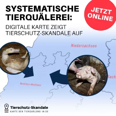 Bild: Tierrechtsorganisationen veröffentlichen Datenbank der Tierschutz-Skandale in Deutschland- Tierquälerei wird k