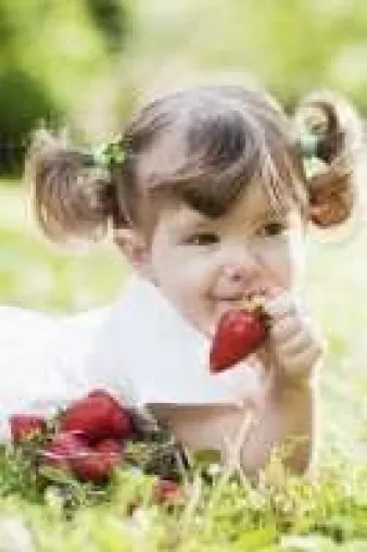 Bild: Gesund naschen - Erdbeeren biologisch anbauen