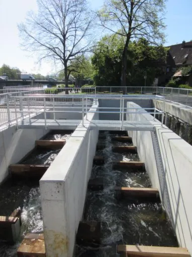 Bild: NaturEnergiePlus-Kunden fördern Bau der Fischtreppe in Künzelsau