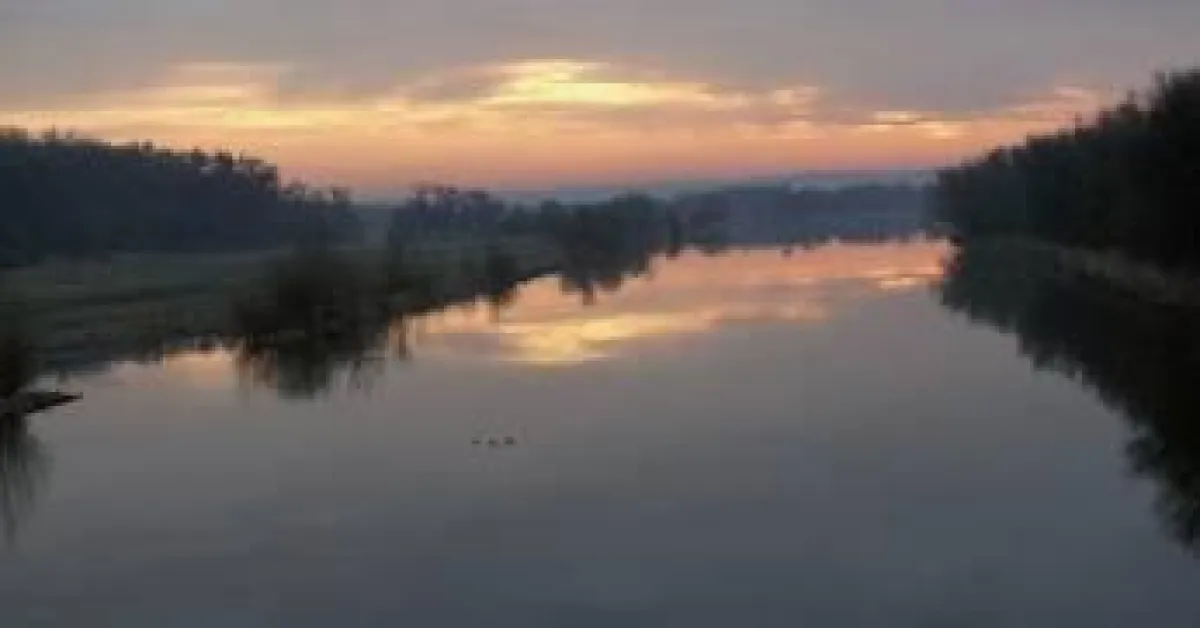 Abendstimmung an der Oder. Foto: Naturwacht Brandenburg