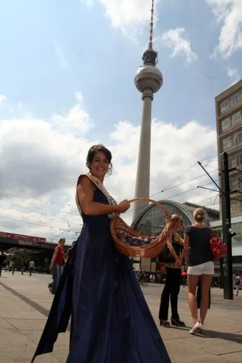 Bild: Eröffnung der deutschen Zwetschgensaison