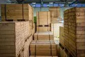 Bild: Gold und die US-Wahl