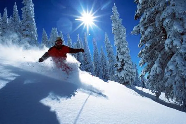 USA-Skireisen: Neuer Trend - Snowcat-Skiing Bild: USA-Skireisen: Neuer Trend - Snowcat-Skiing