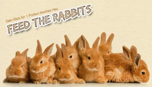 Bild: Ein Klick = eine Portion Heu - die große Winterspendenaktion
