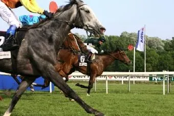 Bild: Race Festival auf der Neuen Bult