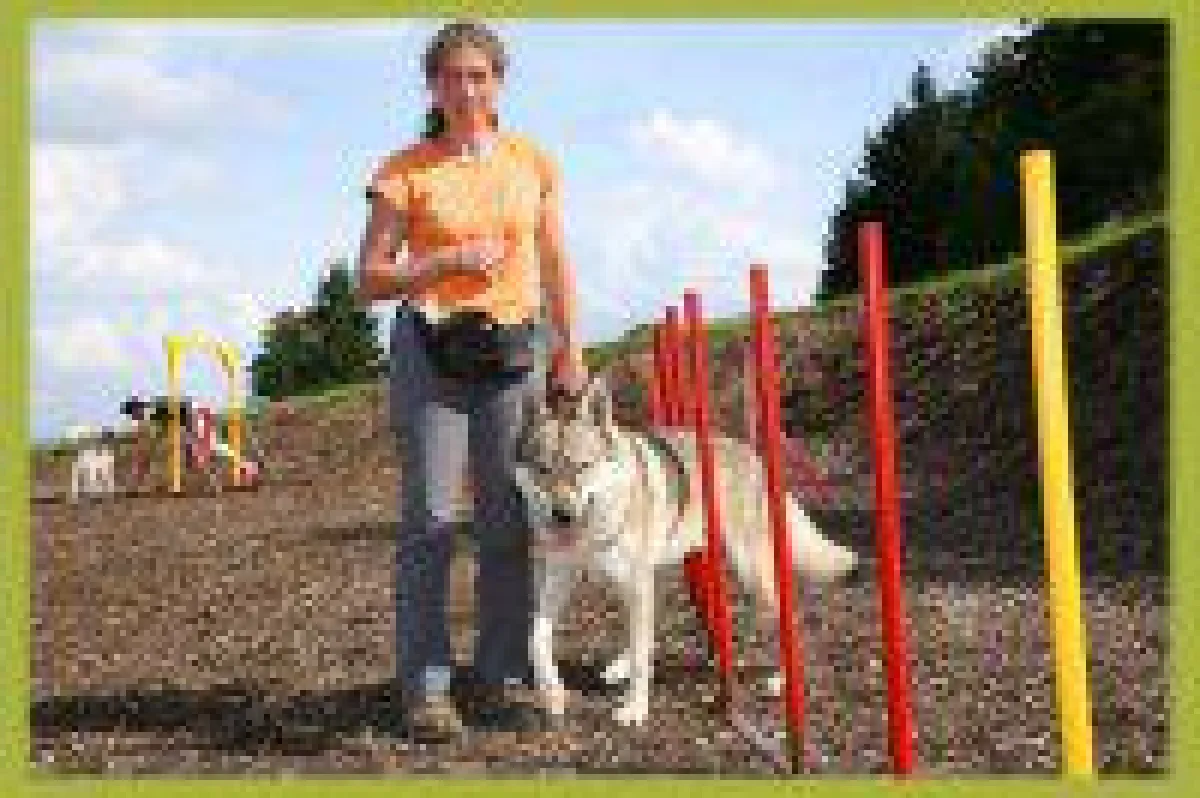 Training mit Hund