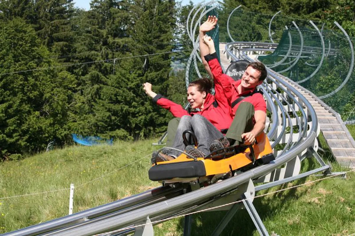 Ab Ostern wieder in Betrieb: Der Alpsee Coaster, Deutschlands längste Allwetter-Rodelbahn