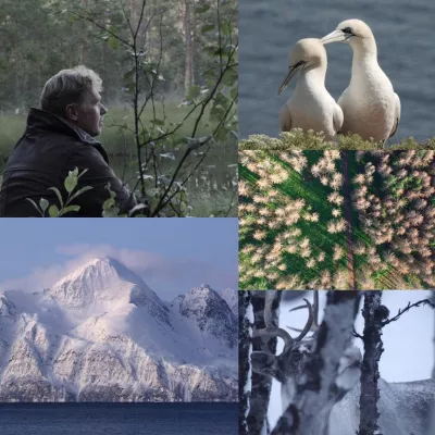 Bild: Zeit zum Umdenken! Weltpremiere am 7. September: Jens Klingebiels aufrüttelnder Naturfilm „Das Vermächtnis“ eröffnet das Greenscreen Festival in Eckernförde