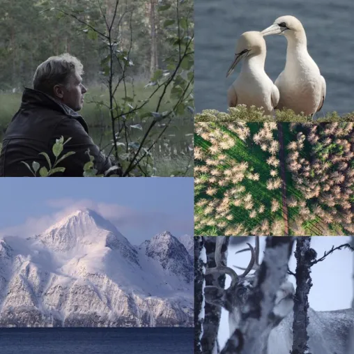 Bild: Zeit zum Umdenken! Weltpremiere am 7. September: Jens Klingebiels aufrüttelnder Naturfilm „Das Vermächtnis“ eröffnet das Greenscreen Festival in Eckernförde