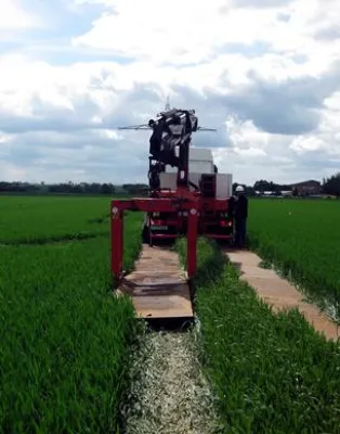 Bild: Wege in Stahl gelegt