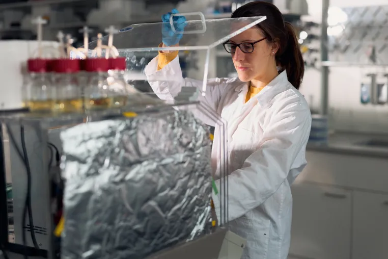 Bild: Brasilianische Forscherin entwickelt im HSBI-Labor ein Verfahren zur Entwicklung eines biologischen Pflanzenschutzes