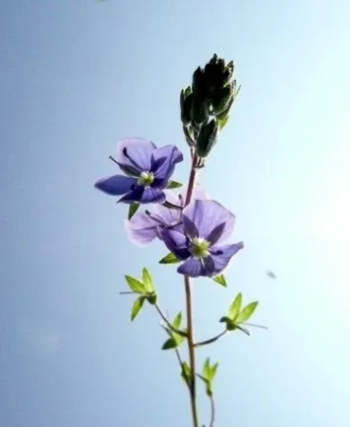 Designerin Ulrike Wölke präsentiert ihre Werke im Hundertwasserhaus Bild: Designerin Ulrike Wölke präsentiert ihre Werke im Hundertwasserhaus