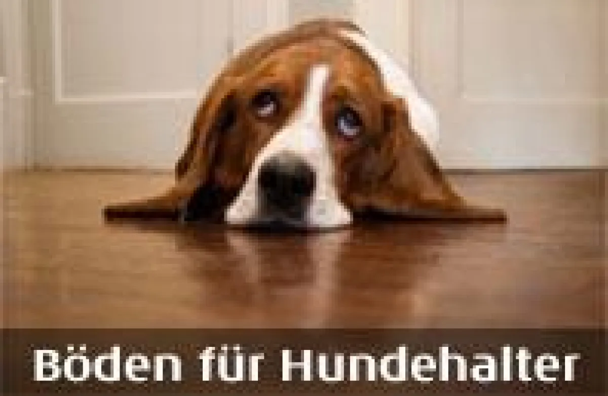 Böden für Hundehalter