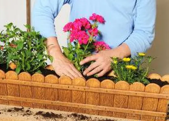 Vorsicht Eisheilige: Was man beim Pflanzen beachten muss Bild: Vorsicht Eisheilige: Was man beim Pflanzen beachten muss